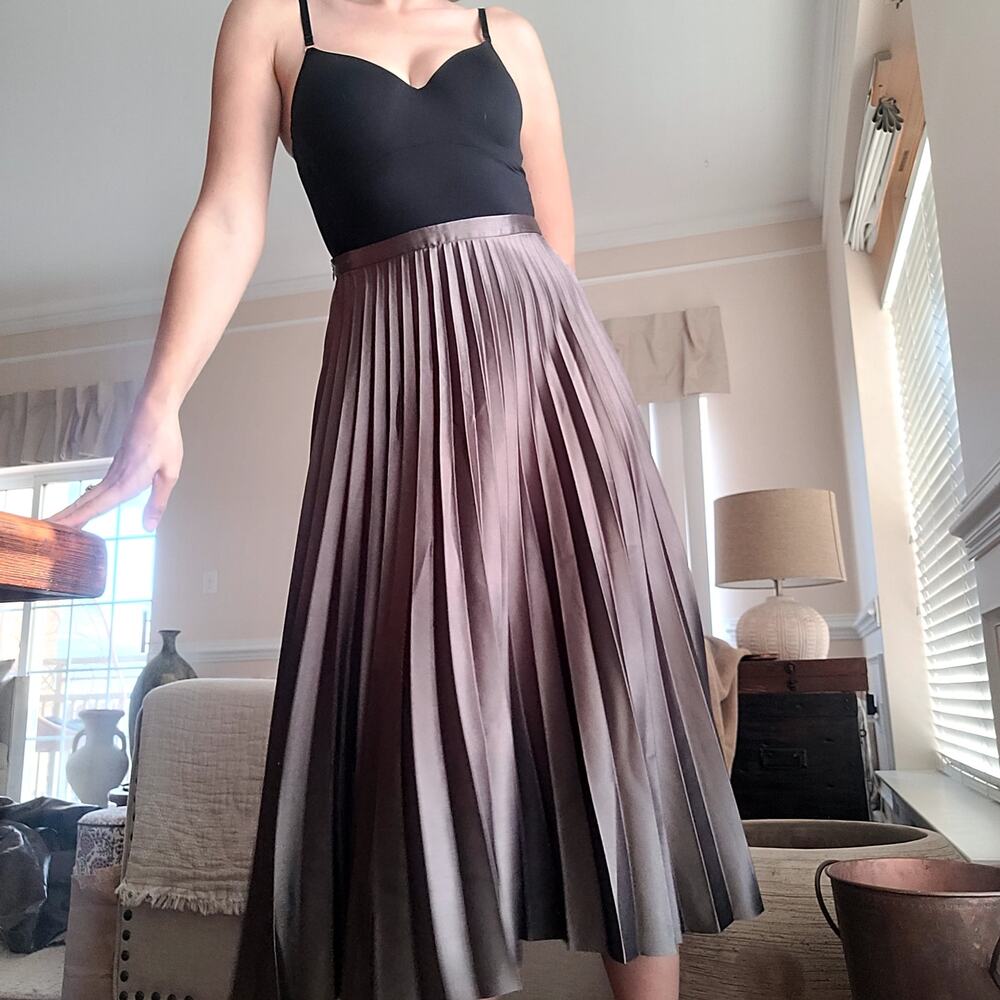 Pleated Metallic Silver Gray Skirt Sz S Pomelo - Picture 2 of 6